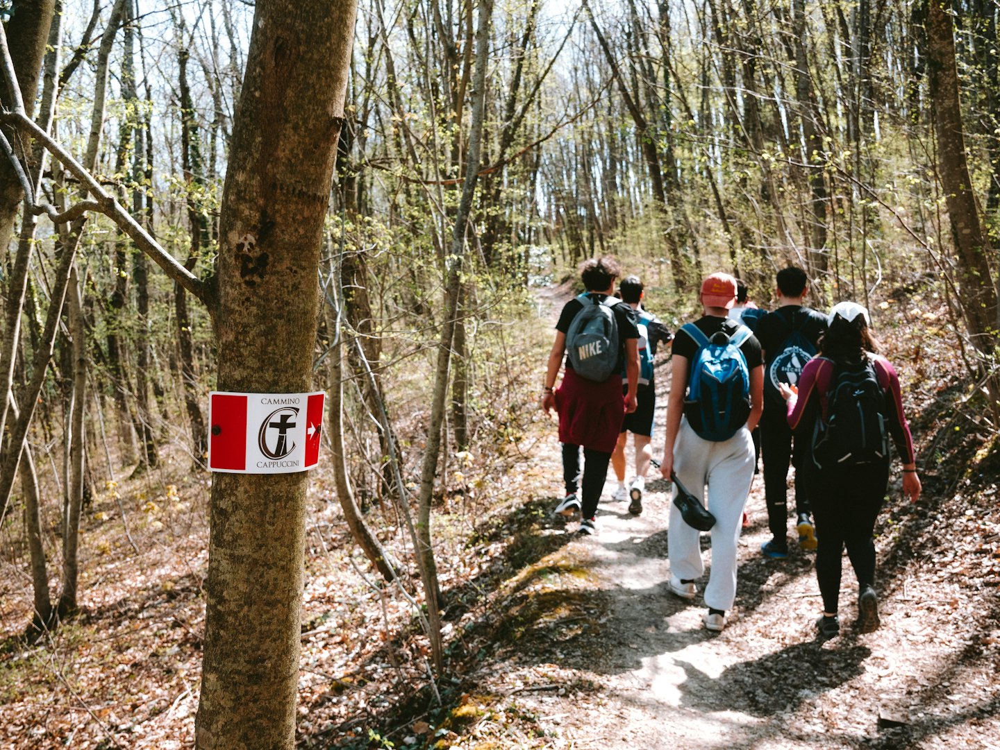 Fünf Wanderer mit Rucksäcken gehen einen Waldweg entlang.